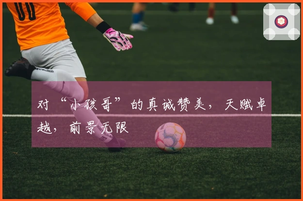 对“小孩哥”的真诚赞美，天赋卓越，前景无限