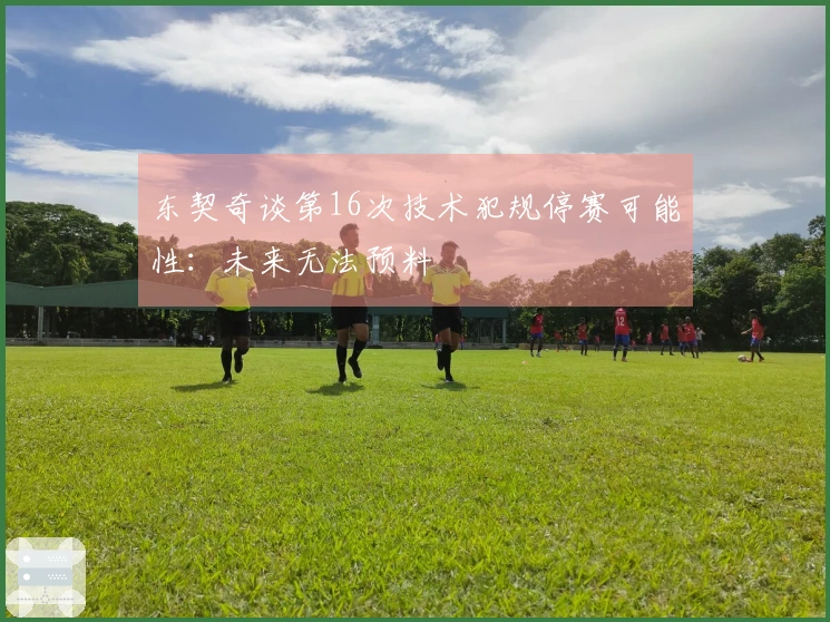 东契奇谈第16次技术犯规停赛可能性：未来无法预料